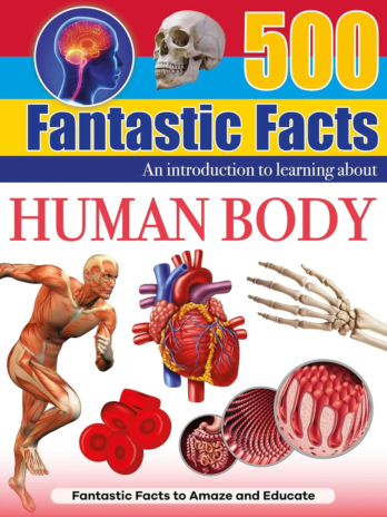 500 Fantastic Facts – The Human Body – Children’s Reference Book – STEM Learning